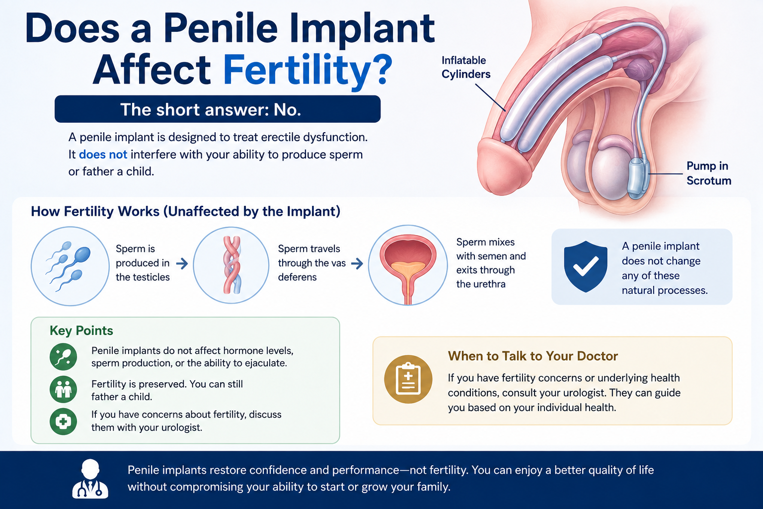 Does a Penile Implant Affect Fertility?